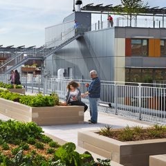 A man and a woman sample fruit from a rooftop garden of a new apartment complex.