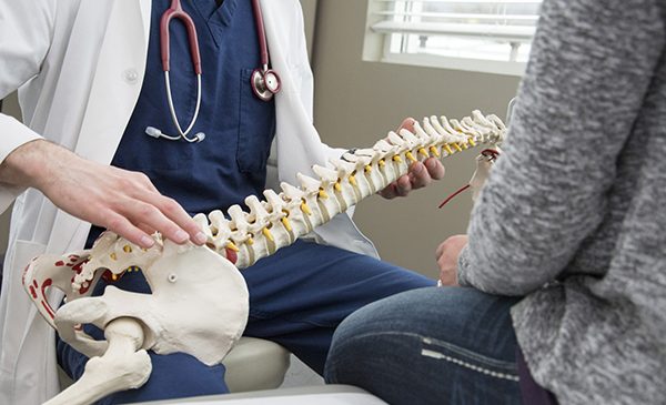 A chiropracter holds a human spine model while consulting with a patient.