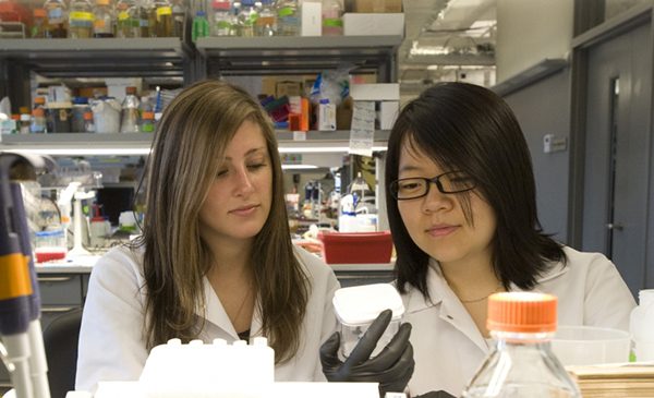 Two pharmacy students examine the label on a bottle of pills in a pharmacy setting.