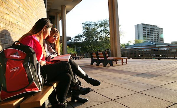 Two female students sitting on a bench studying at sunset.