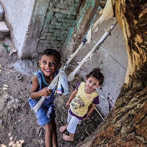 Children play on a swing hanging from a tree.