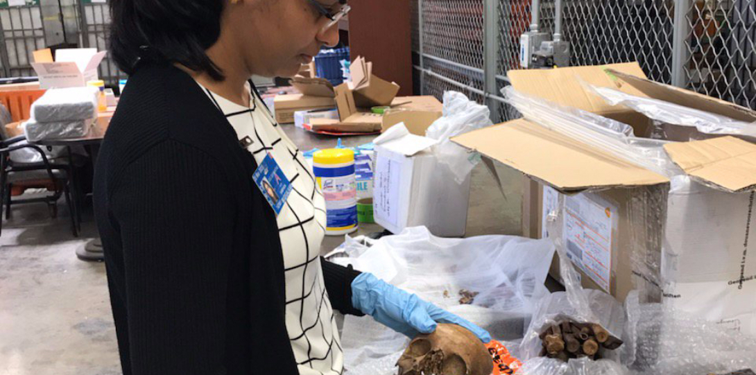 MPH student Sampada Mudgalkar inspects a package containing a human skull and bones at the O'Hare CDC quarantine station.