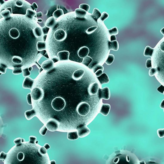 A graphic image of Coronavirus cells.