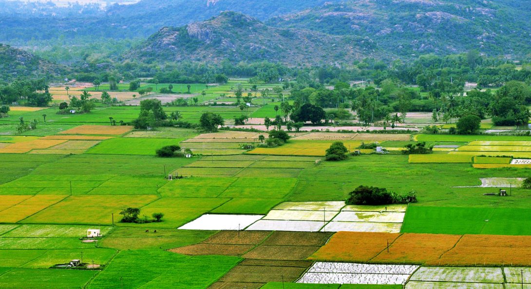 Square plots of farm land in Tamil Nadu, India, with mountains set in the background.