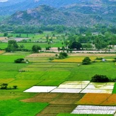 Plots of land with hills in the background and shrubbery across the landscape