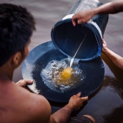 Two men sift pan for gold, pouring a bucket of water and sediment through a sieve.