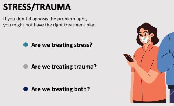A slide from Quint's PowerPoint presentation asking, are we treating stress, trauma or both.