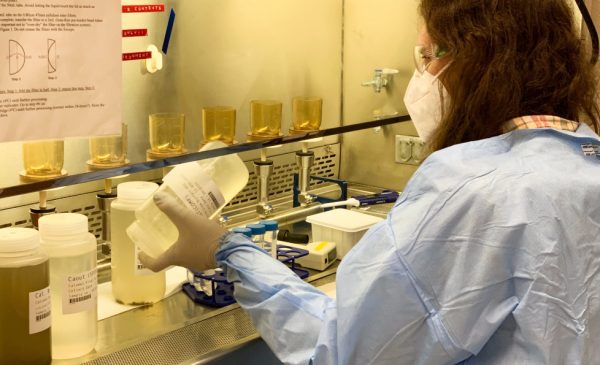 A researcher at SPH's water lab analyzes a wastewater sample from the Cook County Jail.