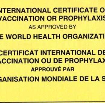 The cover of a certificate of vaccination card from the World Health Organization, commonly used before the pandemic. 