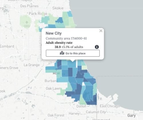 A screenshot of a web page from the Chicago Health Altas, showing rates of adult obesity in a Chicago community area.