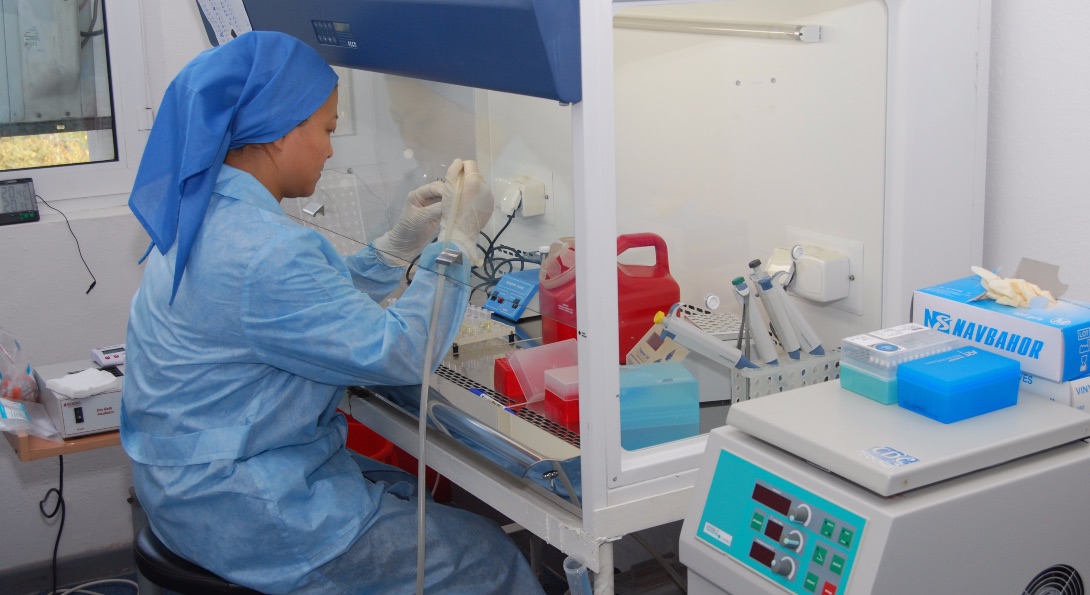 A lab worker is testing samples of a disease in an Uzbekistan-based research lab.