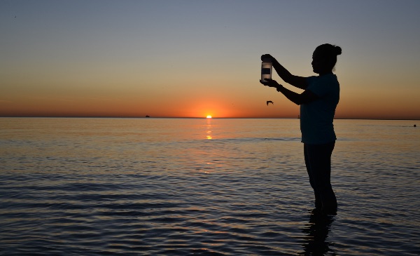 A UIC student water tester holds up a water sample taken from Lake Michigan at sunrise.