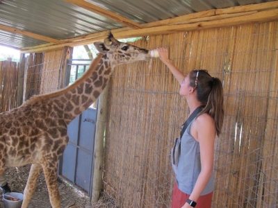 Shaye bottle feeding a baby giraffe.