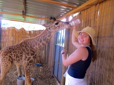 Sophie Young feeding a giraffe.