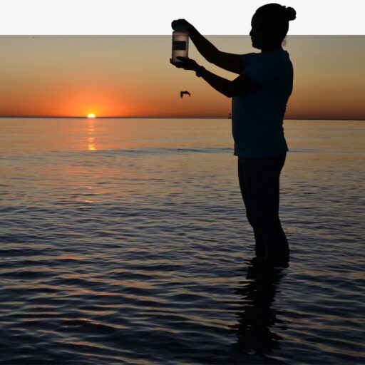 An SPH water quality expert holds up a bottle of water holding a sample of Lake Michigan water to be tested for bacteria.